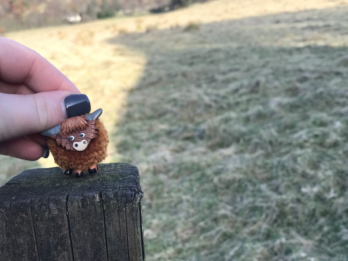 Beautiful Scottish Highlands